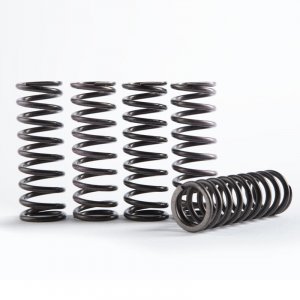 Sada  spojkových pružín HINSON (replacement spring kit for H215)